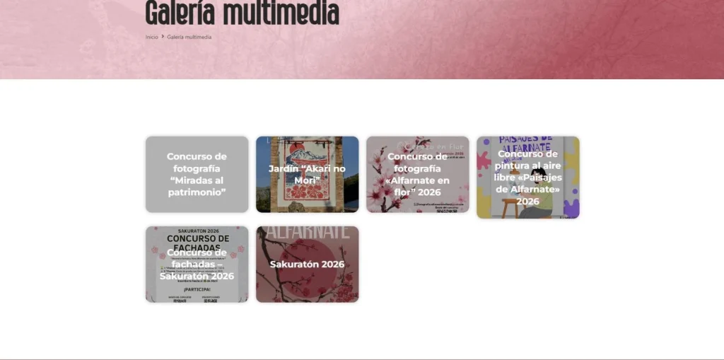 Galería multimedia con concursos y actividades