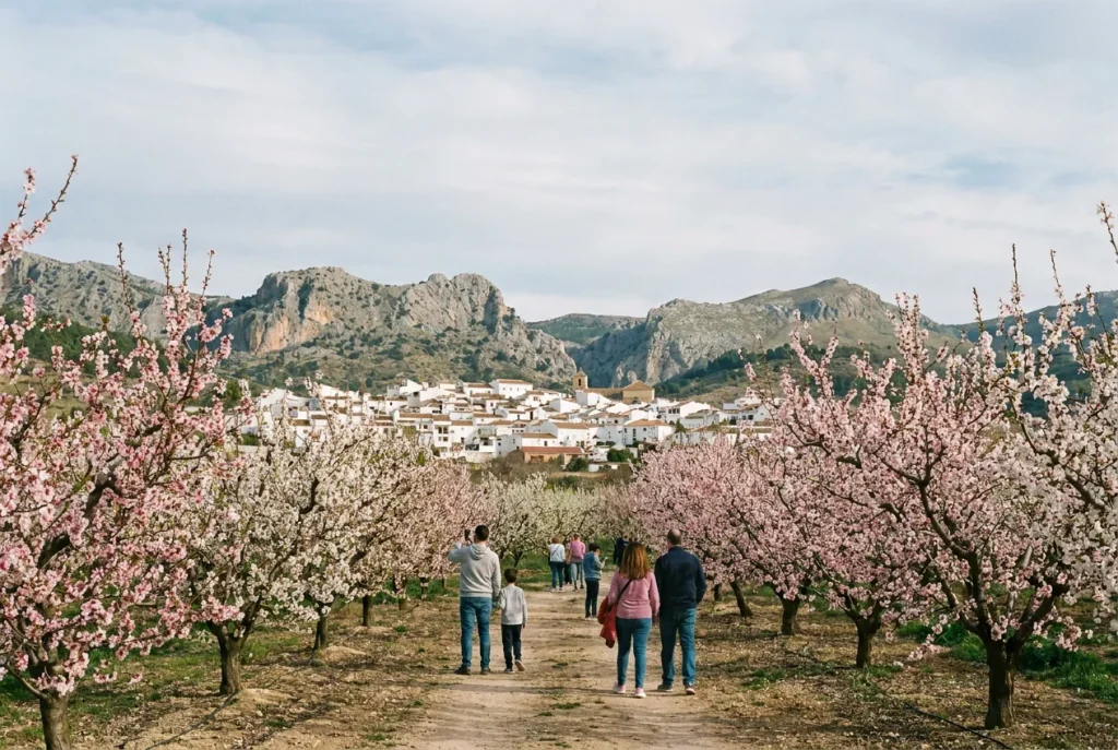 Cerezos en flor junto al pueblo de Alfarnate y la sierra